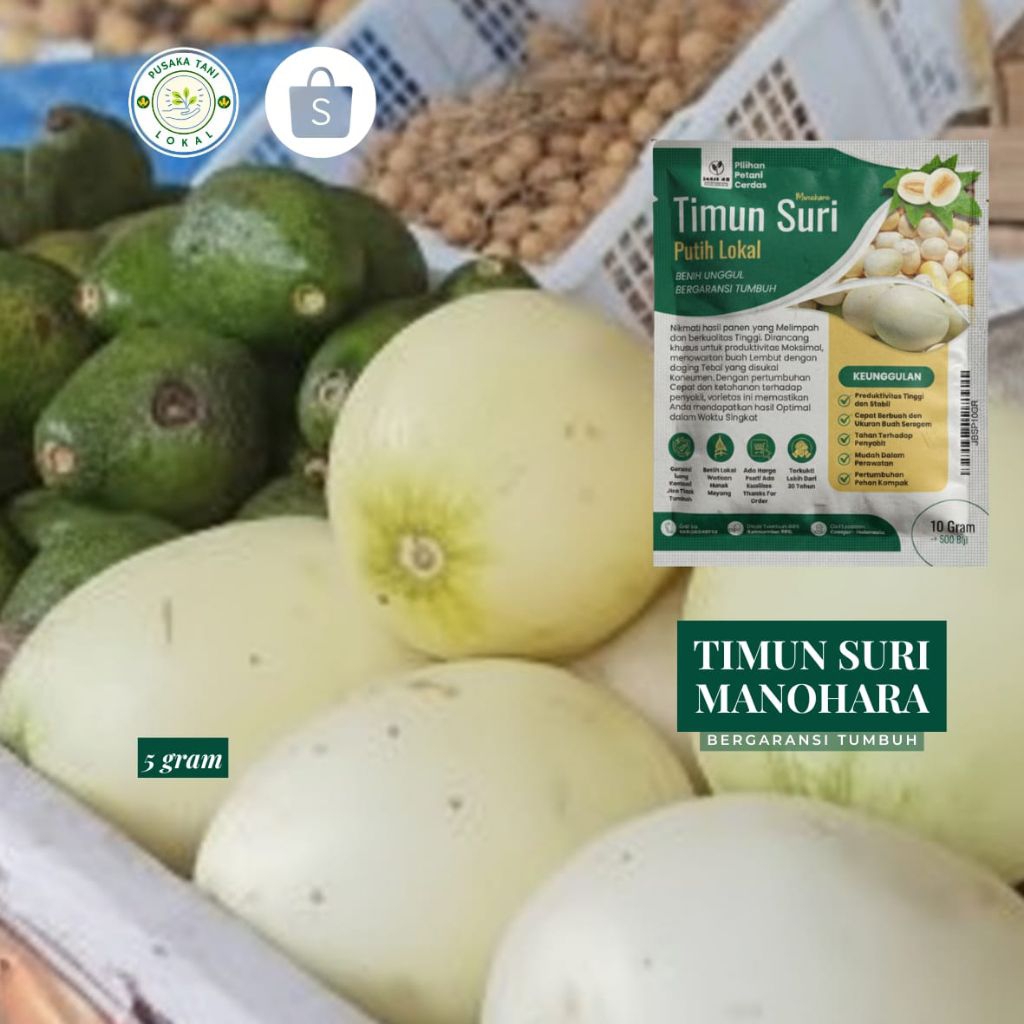 timun suri putih manohara