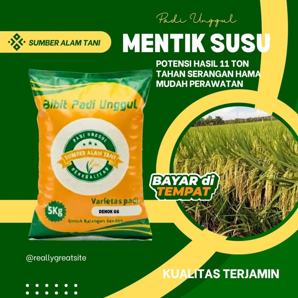 Bibit padi Mentik Susu kemasan 5kg