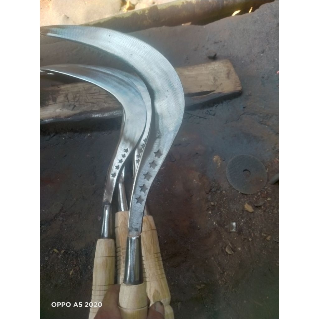 sabit pencari rumput pakan sapi kambing