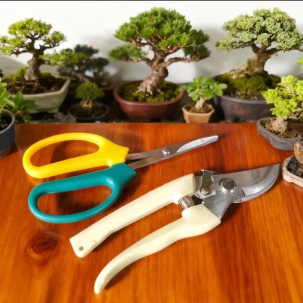 paket 2pcs Gunting pruning Daun/Ranting Bonsai/Gunting Pohon Bonsai Gunting Perlengkapan Dahan Pohon