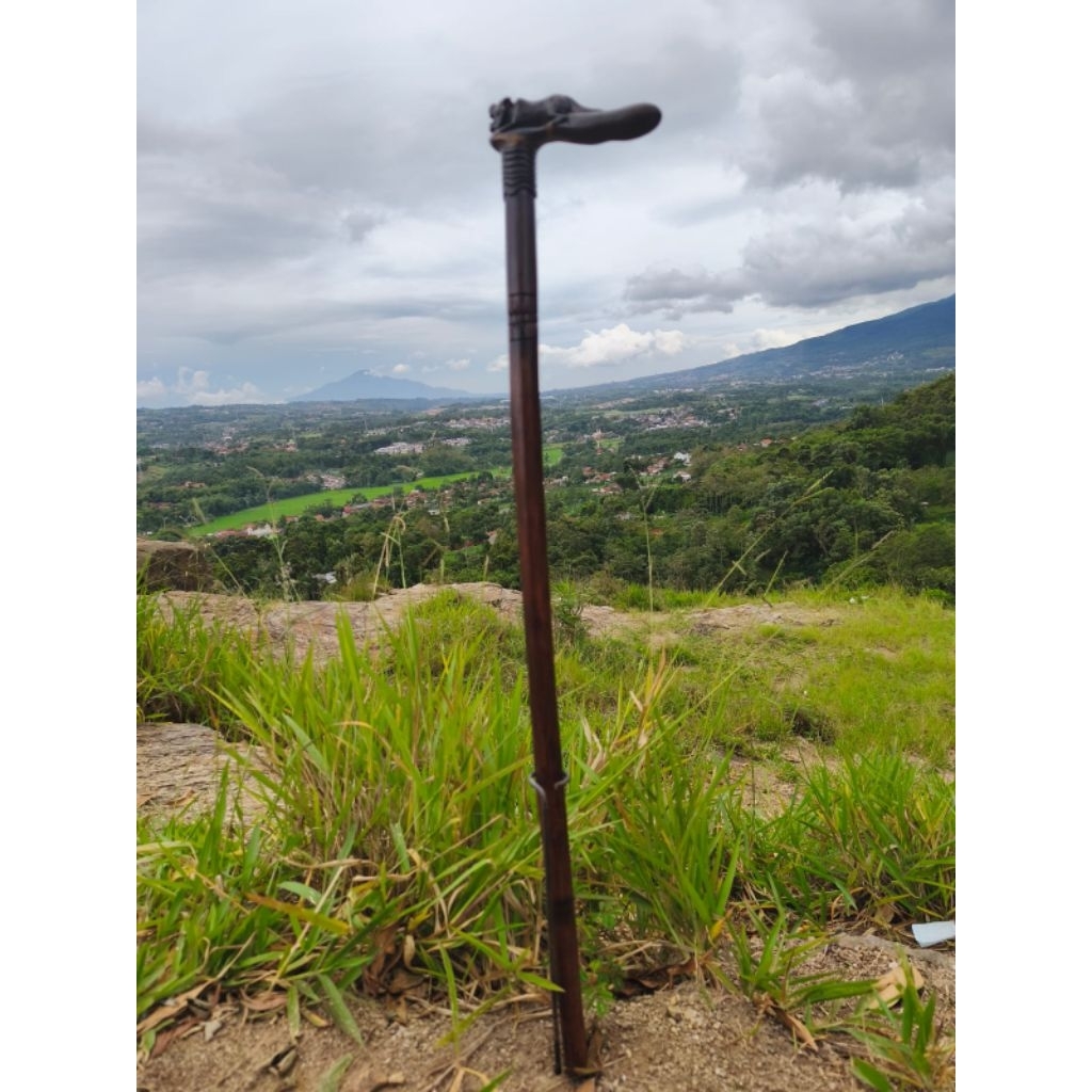 Tongkat Kayu Ukiran Macan Handmade – Kayu Kaboa Bertuah | Tongkat Koleksi Premium