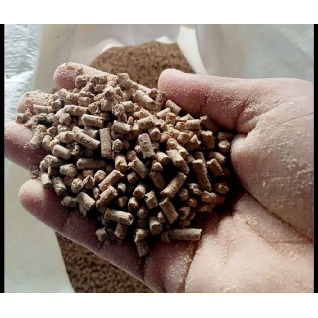 Pakan babi penggemukan starter pur CURAH pakan hewan
