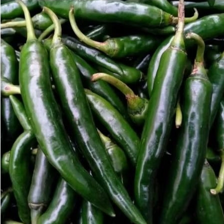 Cabe hijau Besar 100grm/250grm/500grm