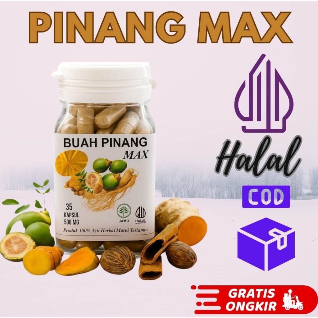 pinang kapsul muda herbal stamina laki laki menyembuhkan ejakulasi dini