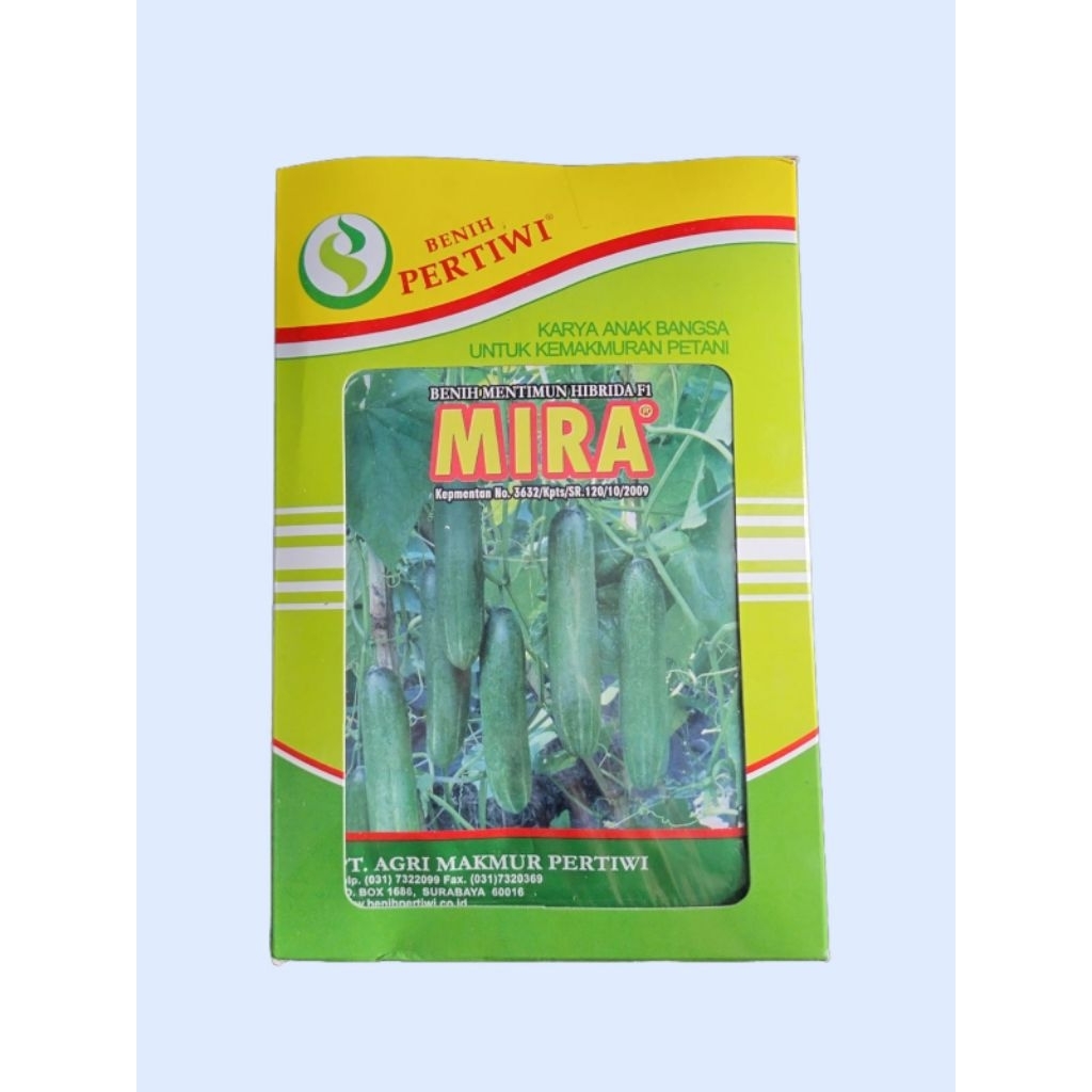 Benih timun Mira F1 pertiwi