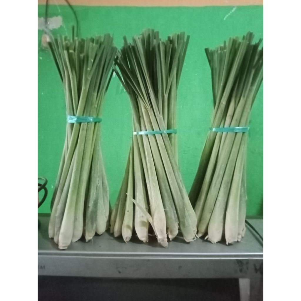 Sereh wanggi Jumbo 1 kg