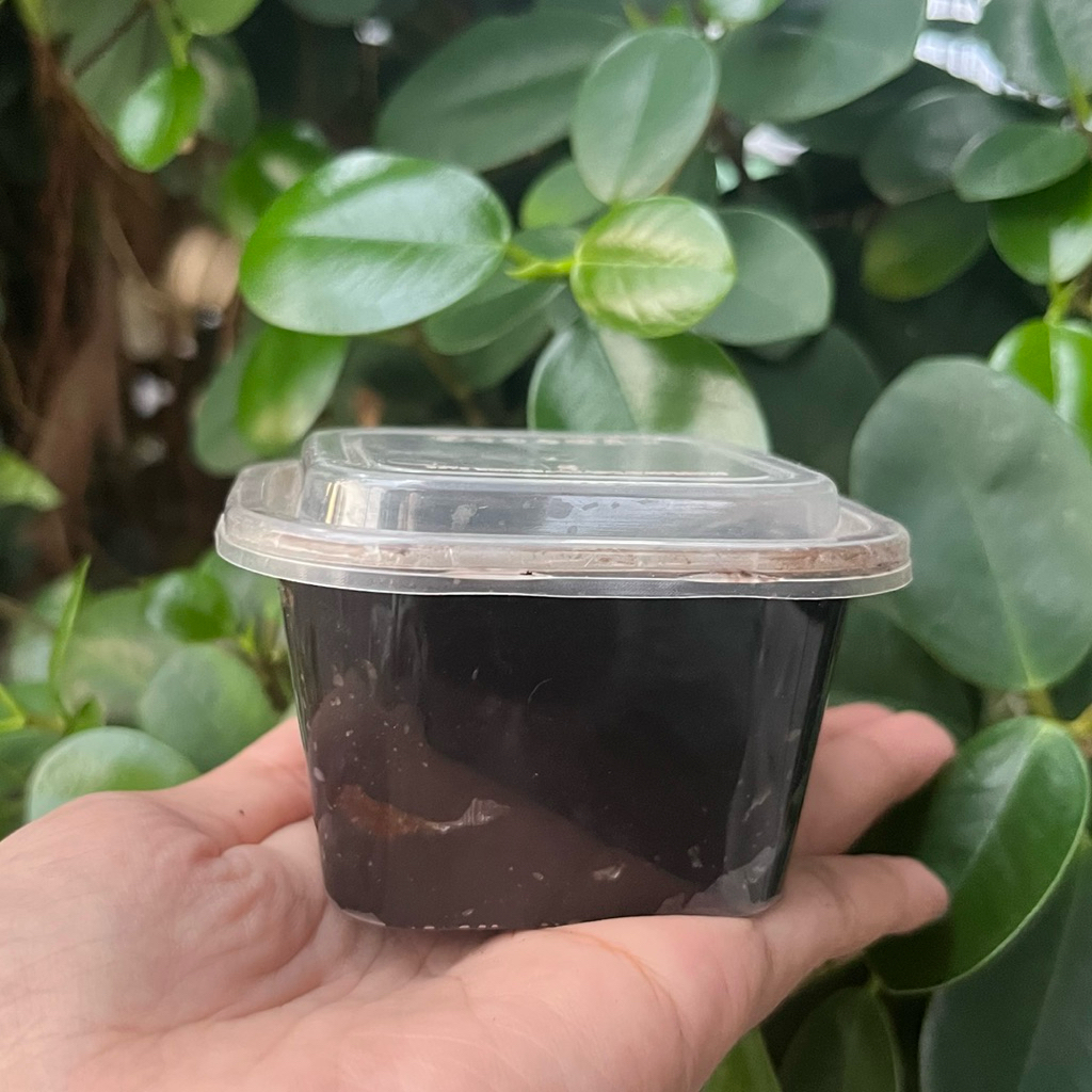 petis udang 150g super enak kualitas premium