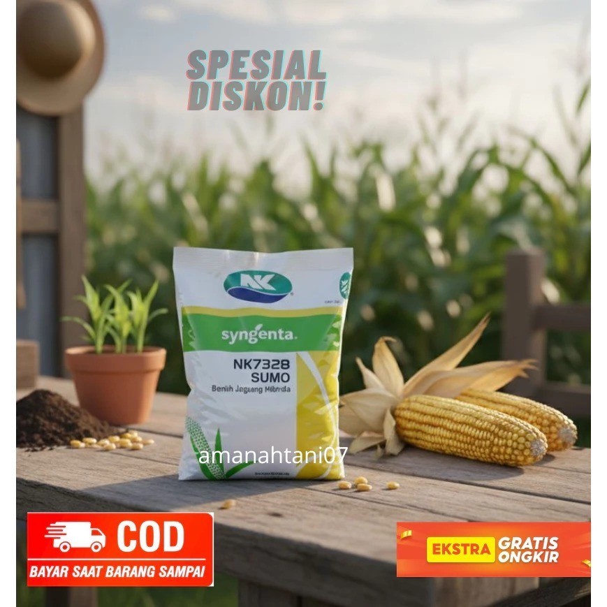 Bibit Jagung NK Sumo 7328 1kg Hibrida