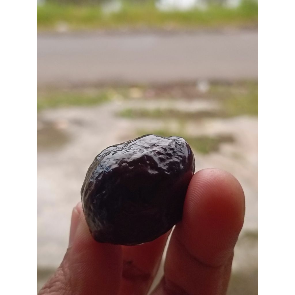 Kemiri Adu Muncang Adu