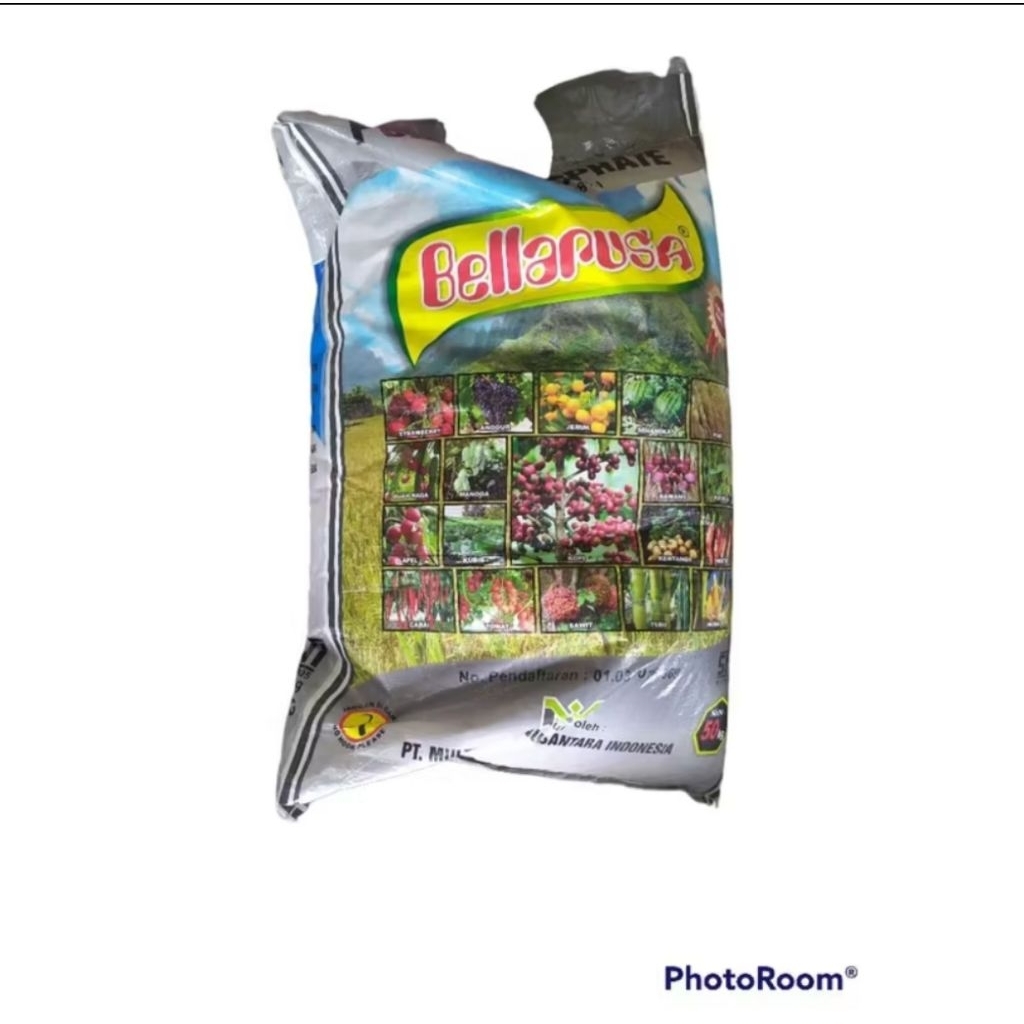 pupuk Phospat bellarusia 50 kg memperbesar buah