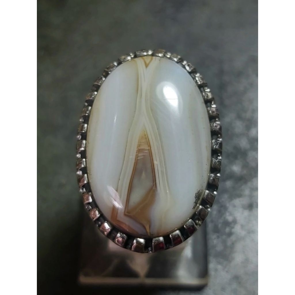 Sulaiman Putih Kantong Semar