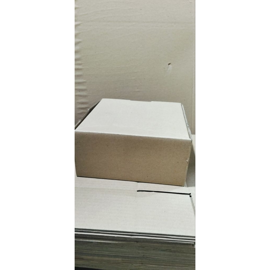 Kardus box pecking 30x20x10 cm