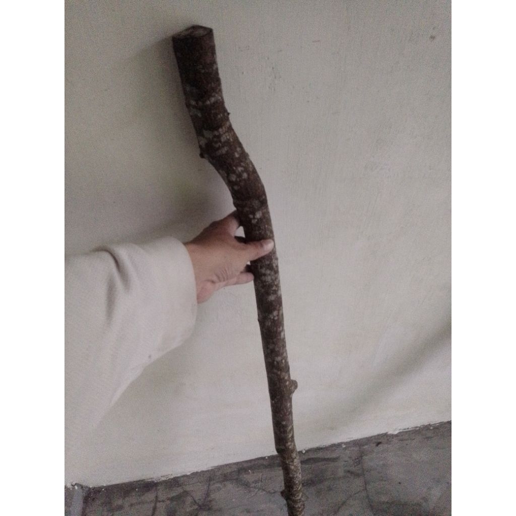 Bahan Tongkat Kayu Cendana Wangi Asli