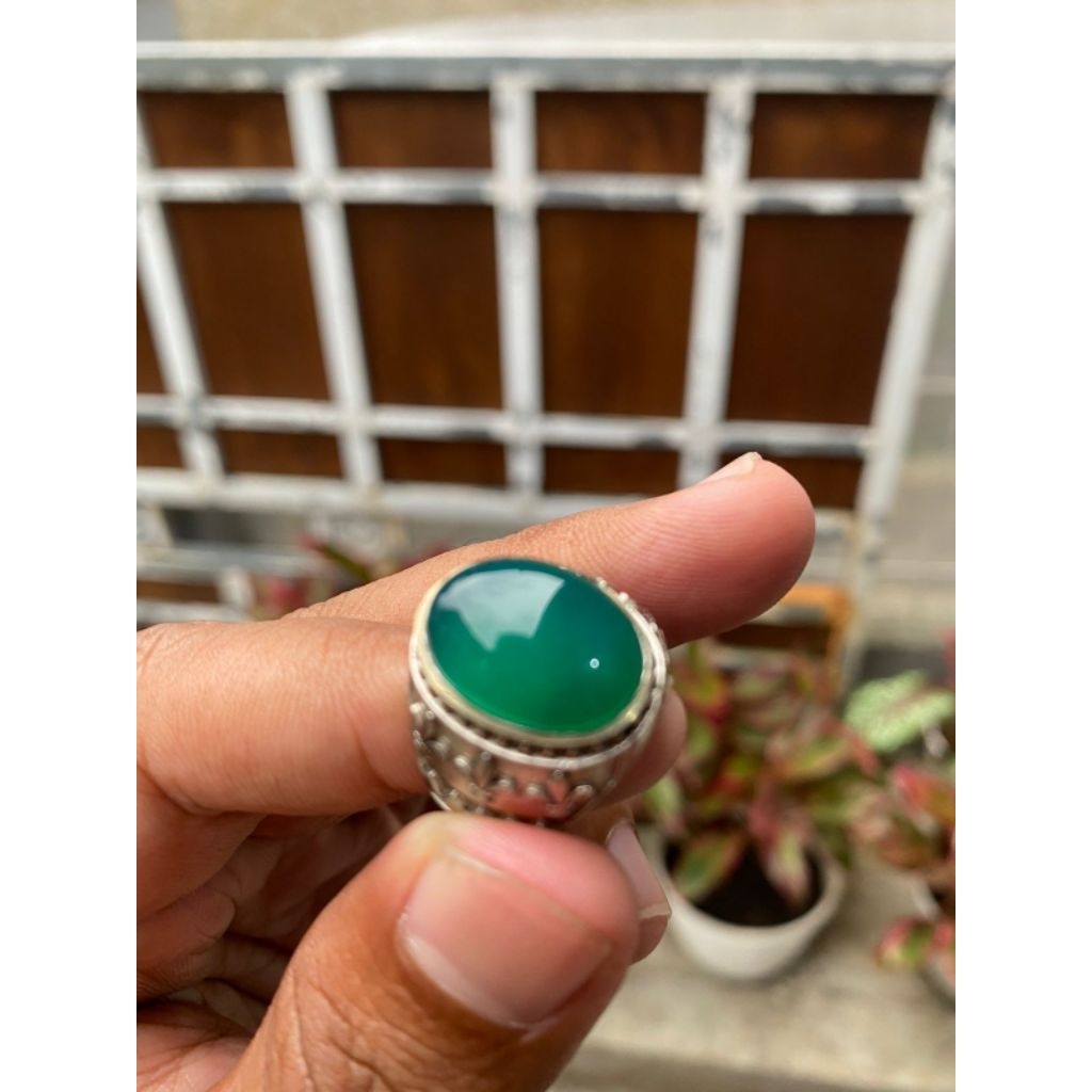 Ijo garut Cikolak galian lawas