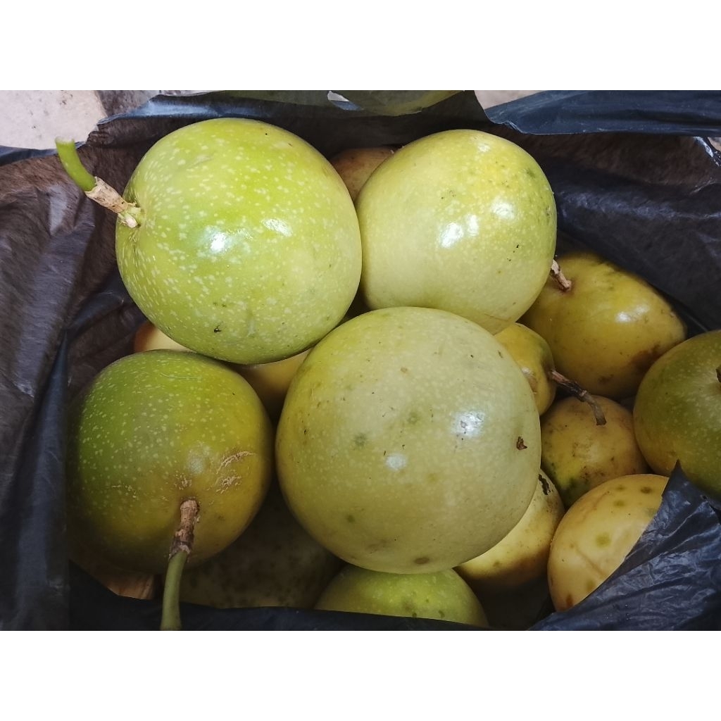 MARKISA KUNING MANIS ASAM SEGAR