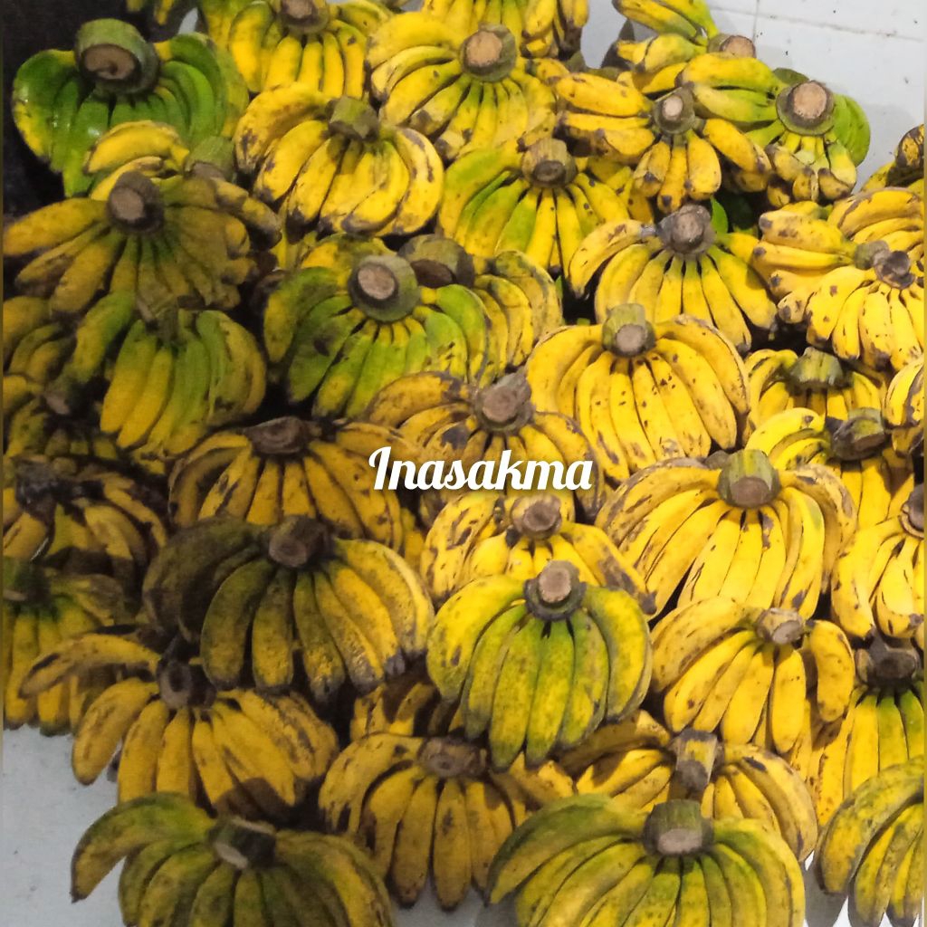Pisang raja bulu manis fresh kebun sukabumi per kg