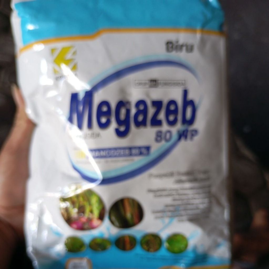 Megazeb 80 WP Fungisida – 1 Kg