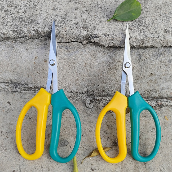 Gunting Pruning Bonsai - Gunting Penjarangan Tajam Hijau Kuning ( Non Cover )