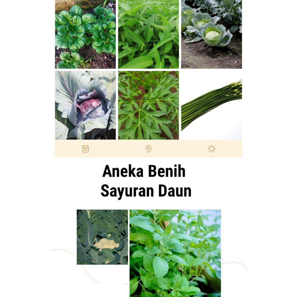 SEMAI SUBUR - ANEKA BENIH SAYURAN DAUN