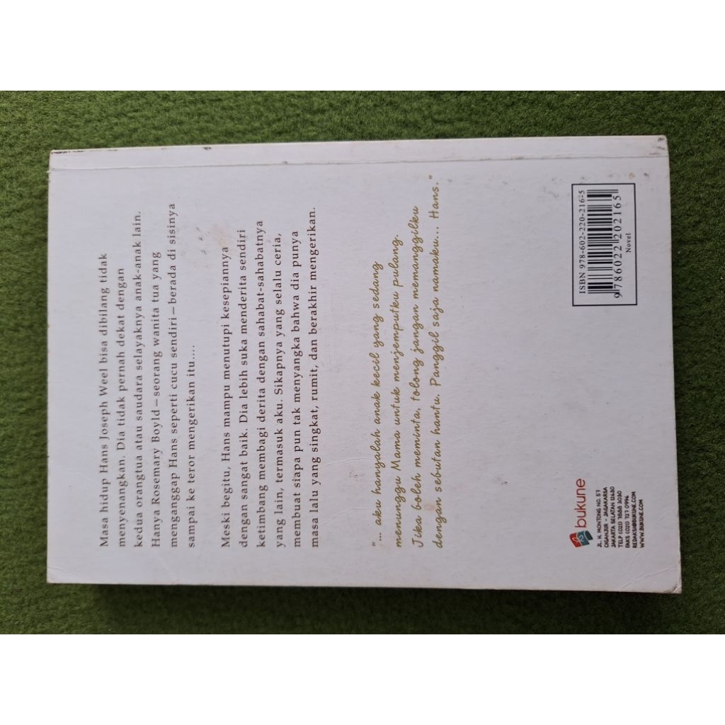 Hans Risa Saraswati Preloved