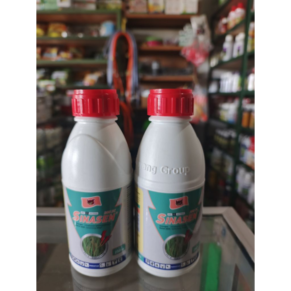 PEMBASMI JAMUR DAUN XANTAMONAS, FUNGISIDA SINASEN 250ML