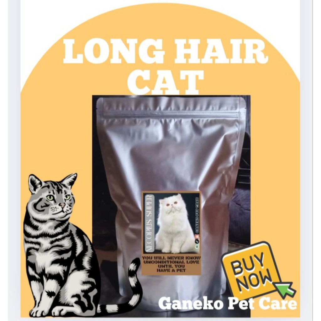 PAKAN MAKANAN KERING KUCING PENGGEMUK PERSIA ANGGORA MURAH LARIS REKOMENDASI RECOMENDED LONG HAIR SH