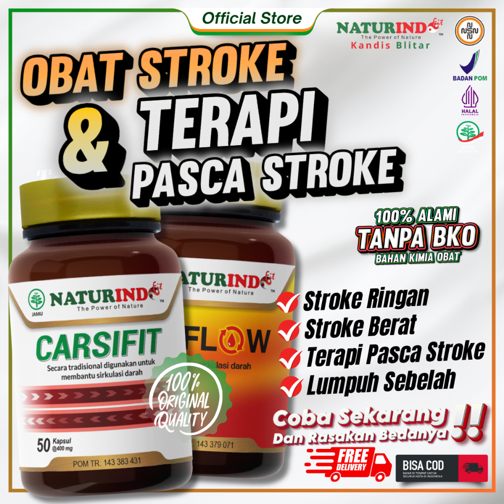 OBAT STROKE RINGAN BERAT LUMPUH KANAN KIRI TERAPI PASCA STROKE HERBAL CARSIFIT ORI NATURINDO