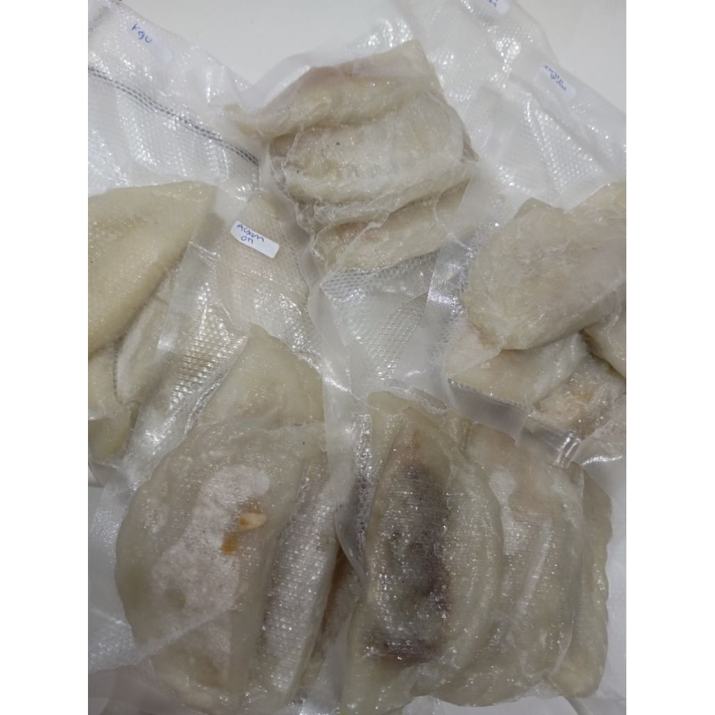 Nota Live paket usaha makanan