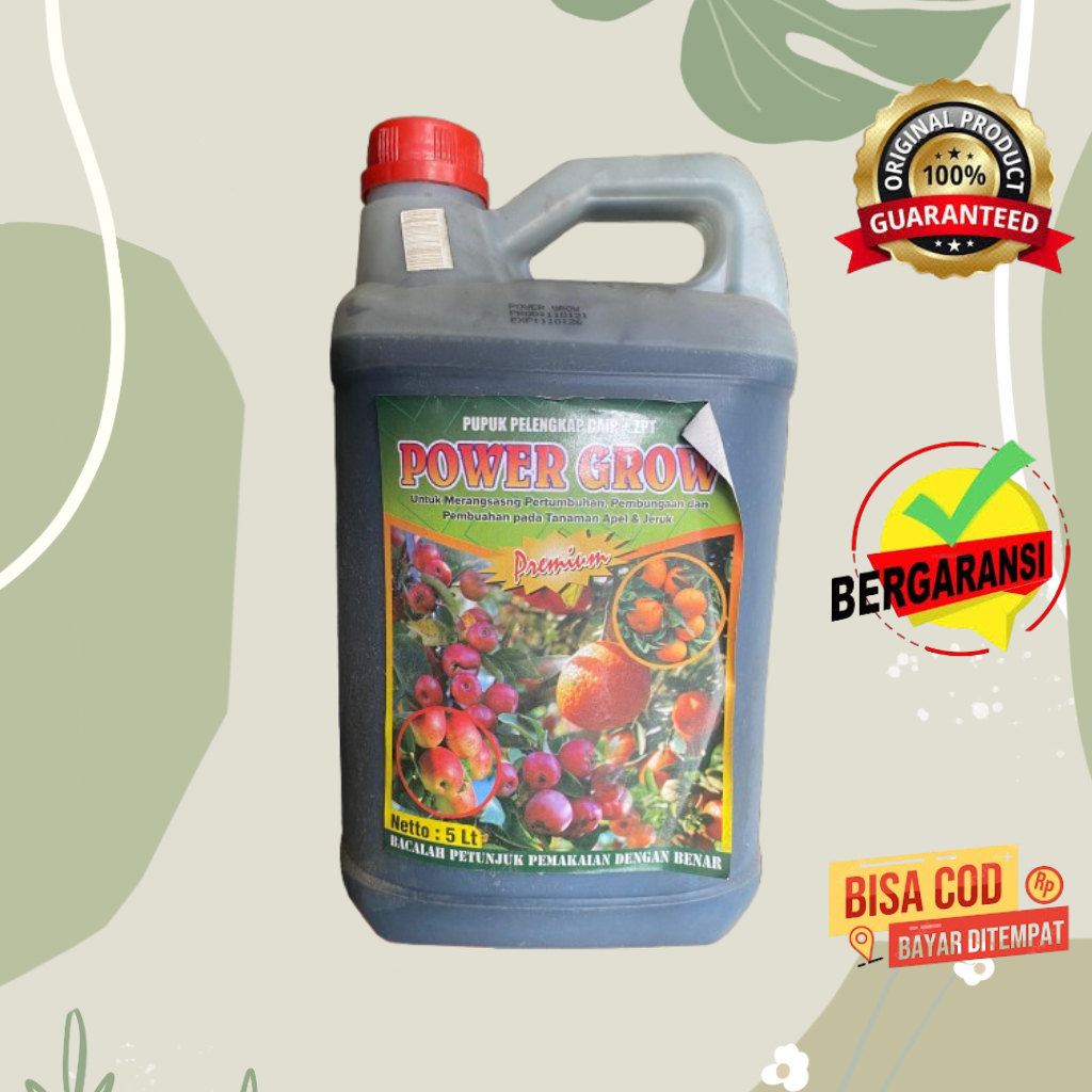 Pupuk Power Grow Buah 5 L