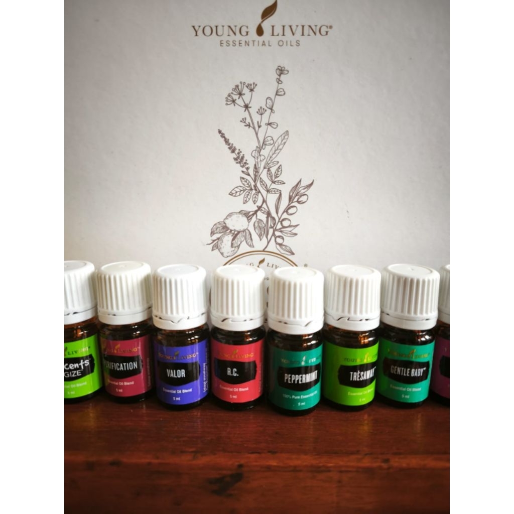 YL 5ml peppermint oil young living,rc oil young living,spearmint oil young living,panaway oil young 