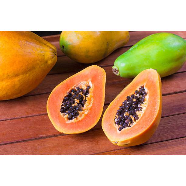 TUMBUH CEPAT BENIH BUAH PEPAYA BANGKOK