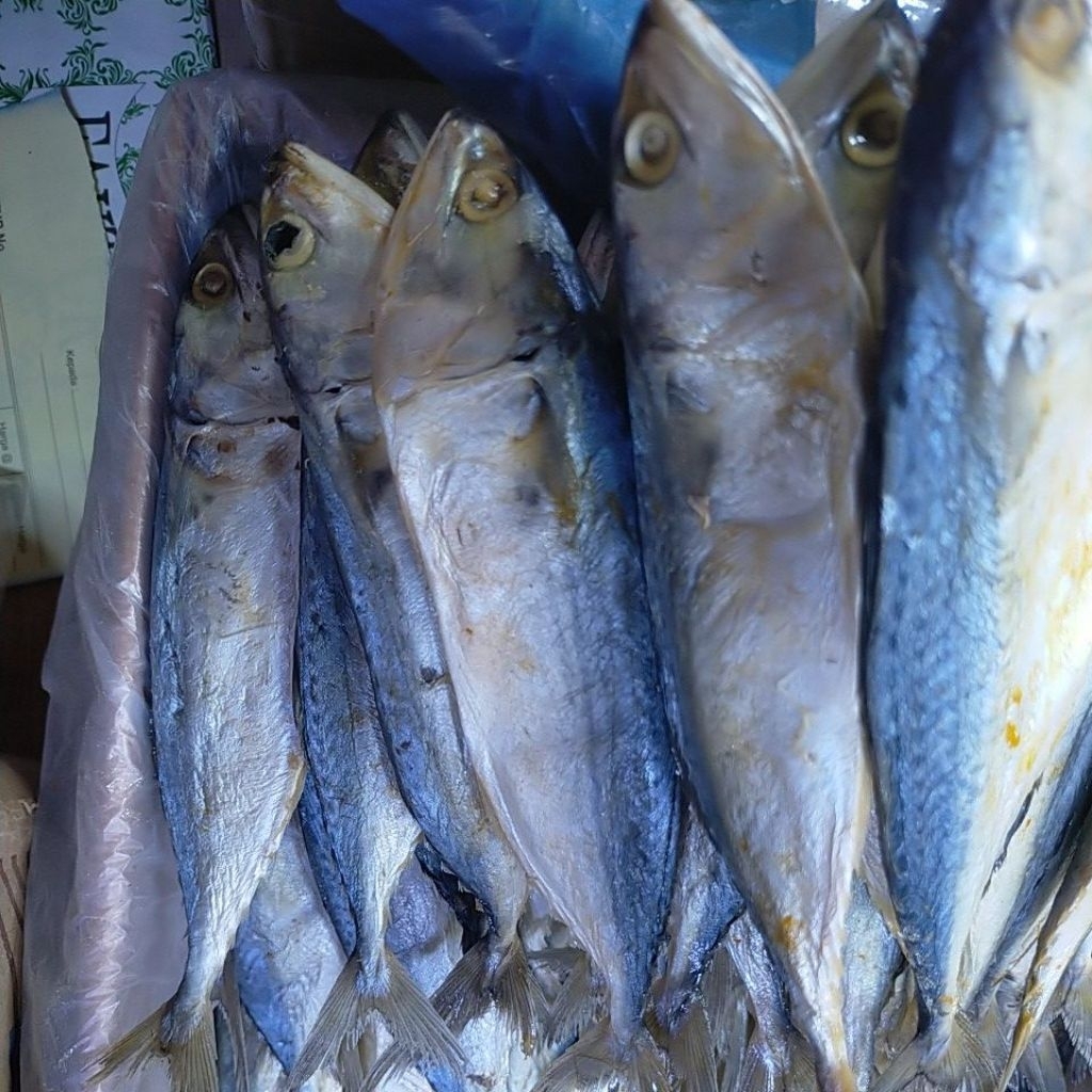 Ikan asin gembung peda