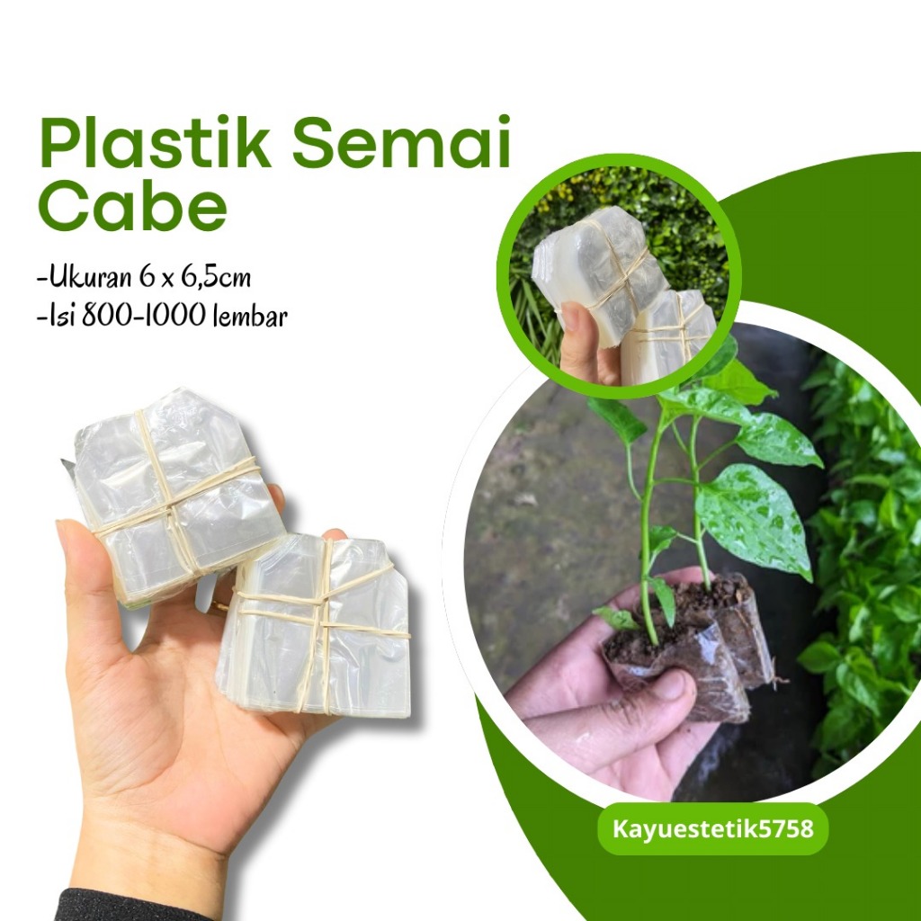 Polybag Semai cabe Isi 1000 lembar-Semai cabe Ukuran 6 x 6,5cm-Plastik Semai cabe Murah isi Banyak