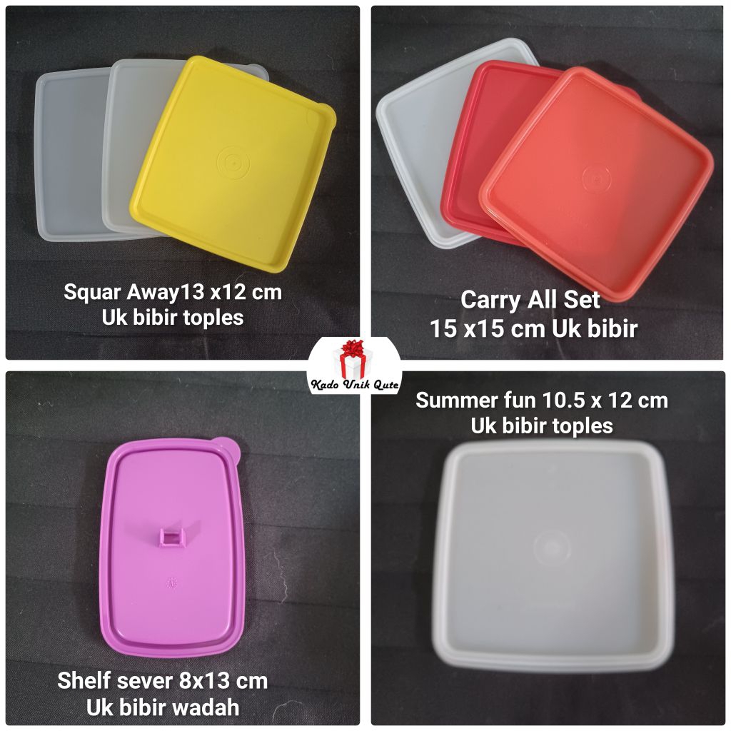 Seal Tutup Tupperware Carry all set, self sever, summer fun, Square away, square round.