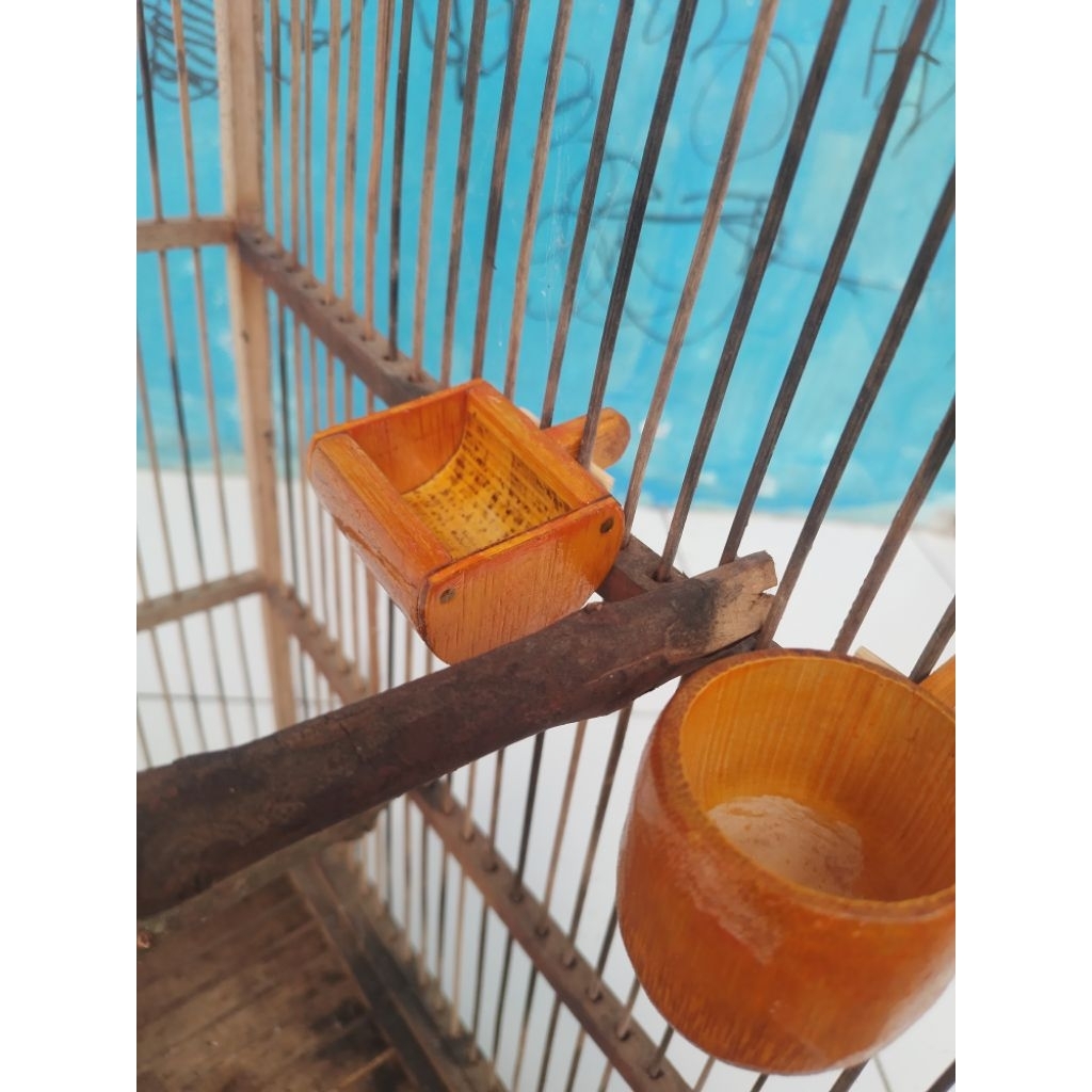 cepuk wadak pakan burung /  cepuk air burung dri bambu unik lucu