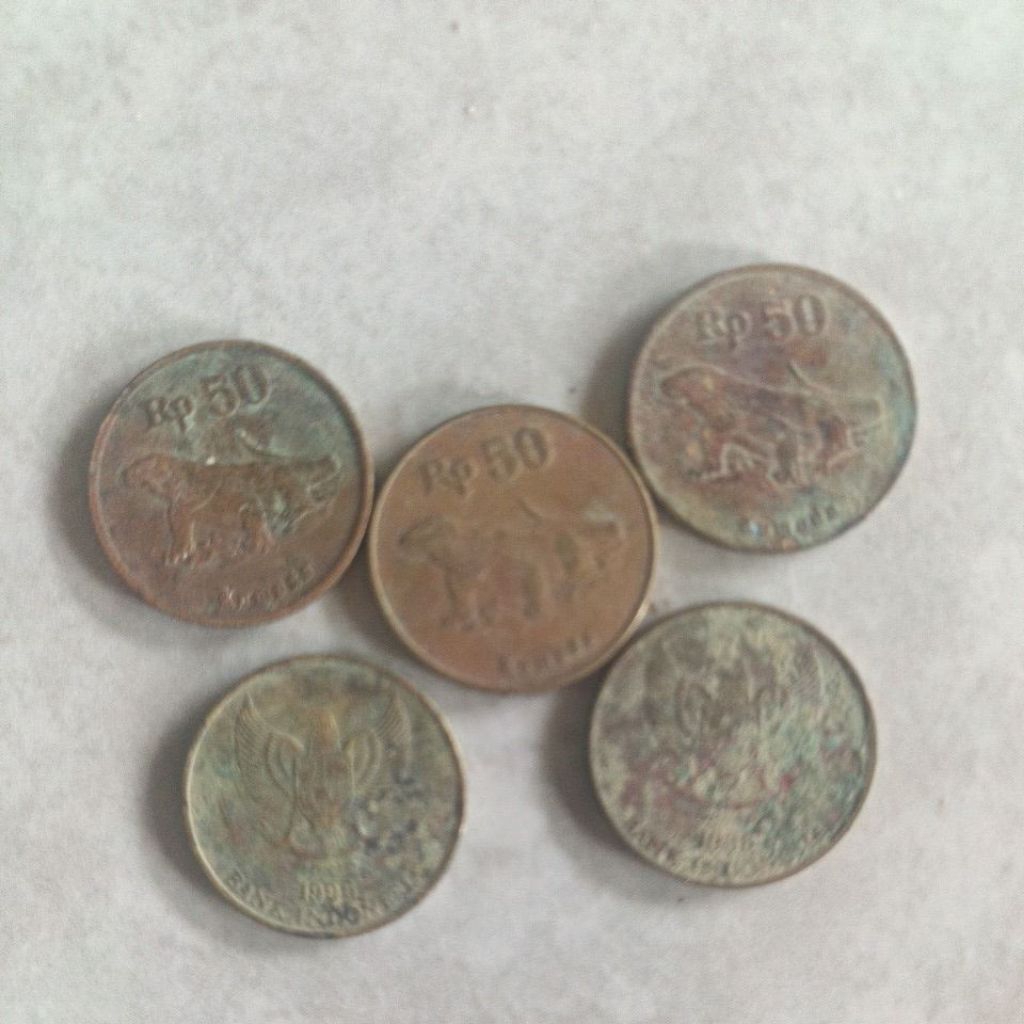 koin kuno 50rp komodo