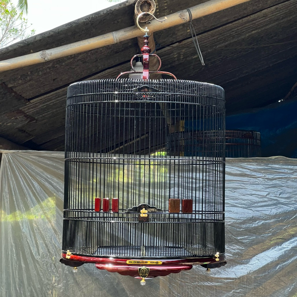 sangkar murai jumbo 70x70