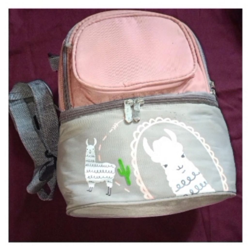 PRELOVED TAS ASI /cooler bag ASI