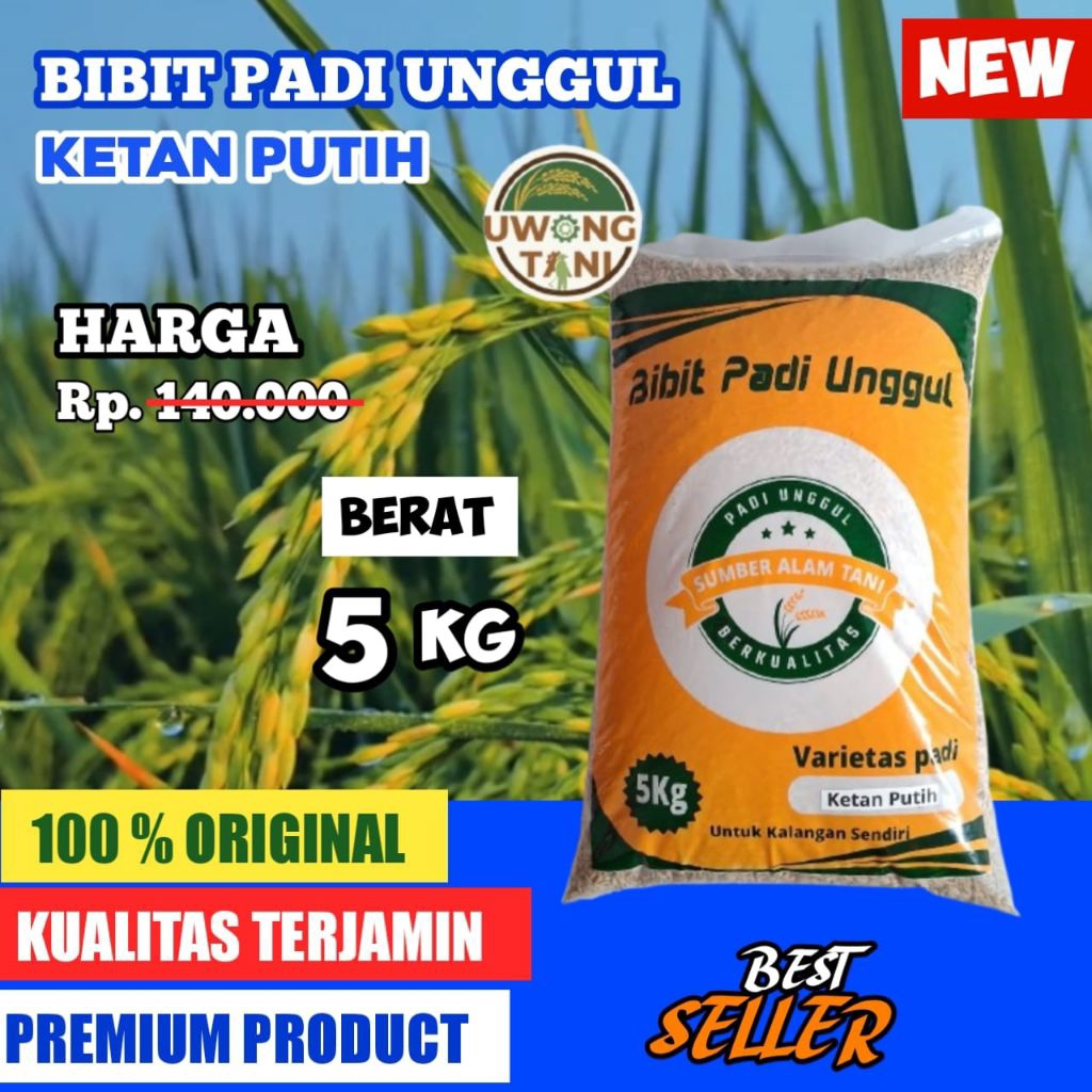 BENIH PADI UNGGUL KETAN PUTIH KEMASAN 5 KG