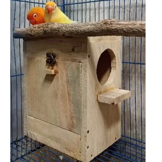 glodok burung lovebird