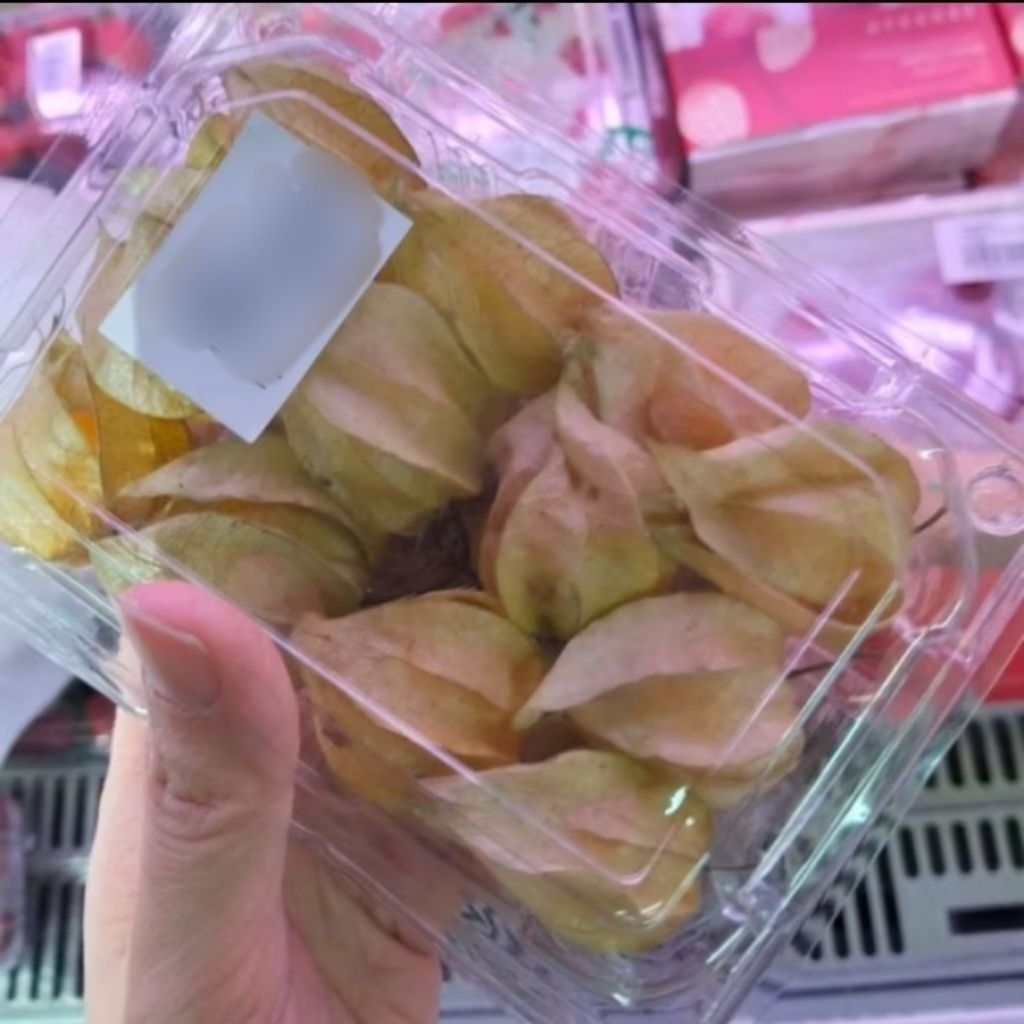 [1 Pack] Buah Ciplukan / Ciplukan Segar / Golden Berry