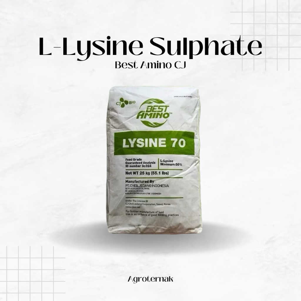 L-LYSINE SULPHATE 1Kg Best Amino