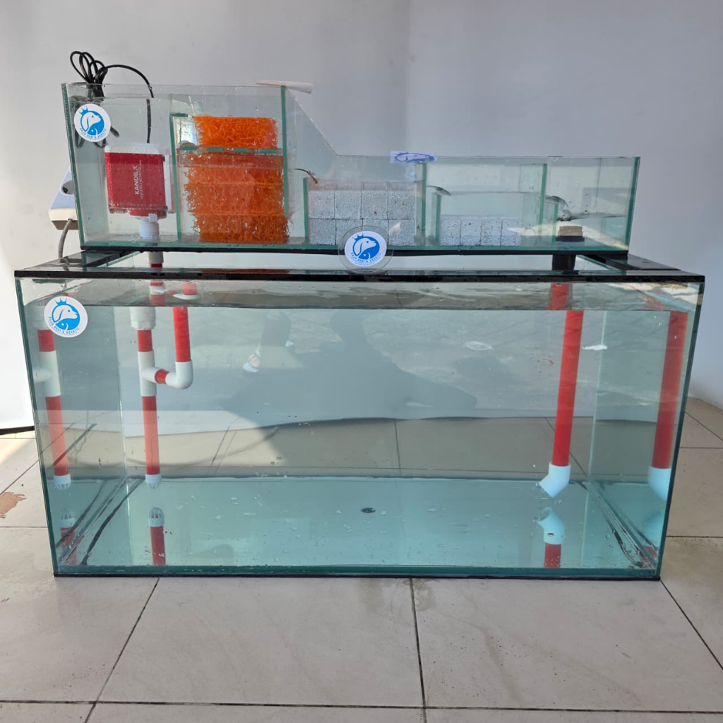 80CM CHINA STYLE TALANG SISTEM POMPA DI ATAS TOP FILTER KACA TALANG KACA BOX FILTER AQUARIUM AKUARIU
