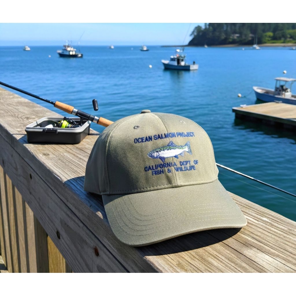 Topi Vintage Logo Ikan Dorfman Pacific Original Second Warna Hijau Army