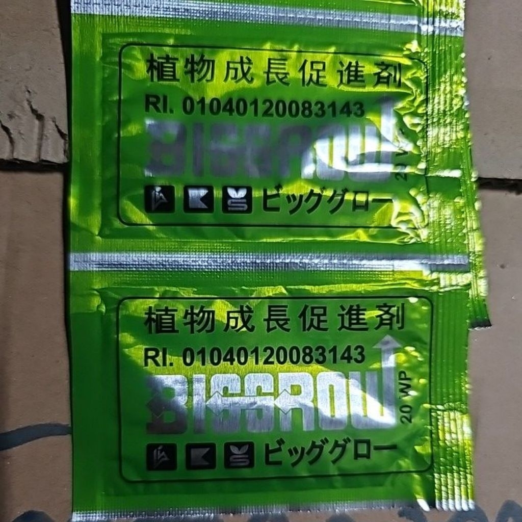 Big Grow 5 gr ZPT Pembesar Buah