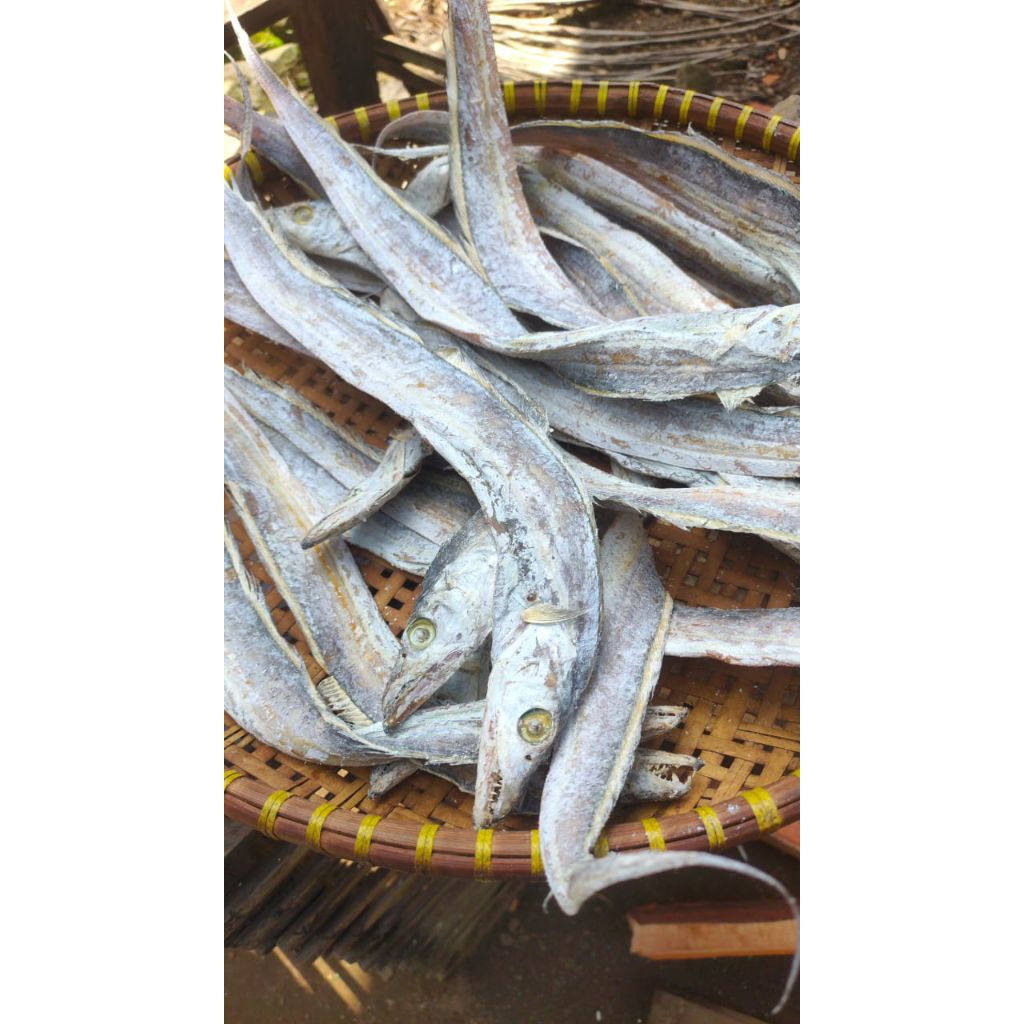 PREMIUM IKAN ASIN LAYUR KERING BESAR