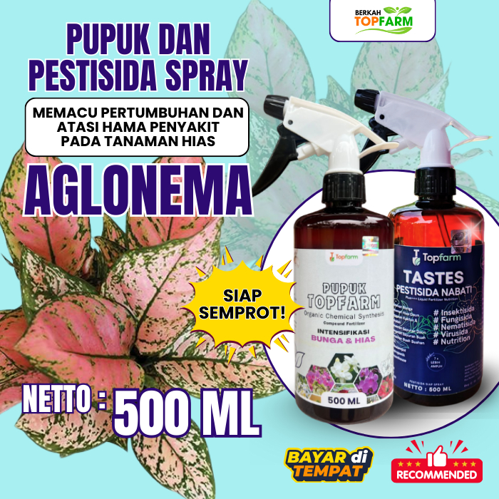 Pupuk daun aglonema / Pupuk daun organik untuk aglonema /Pupuk aglonema daun spray siap pakai / Pupu