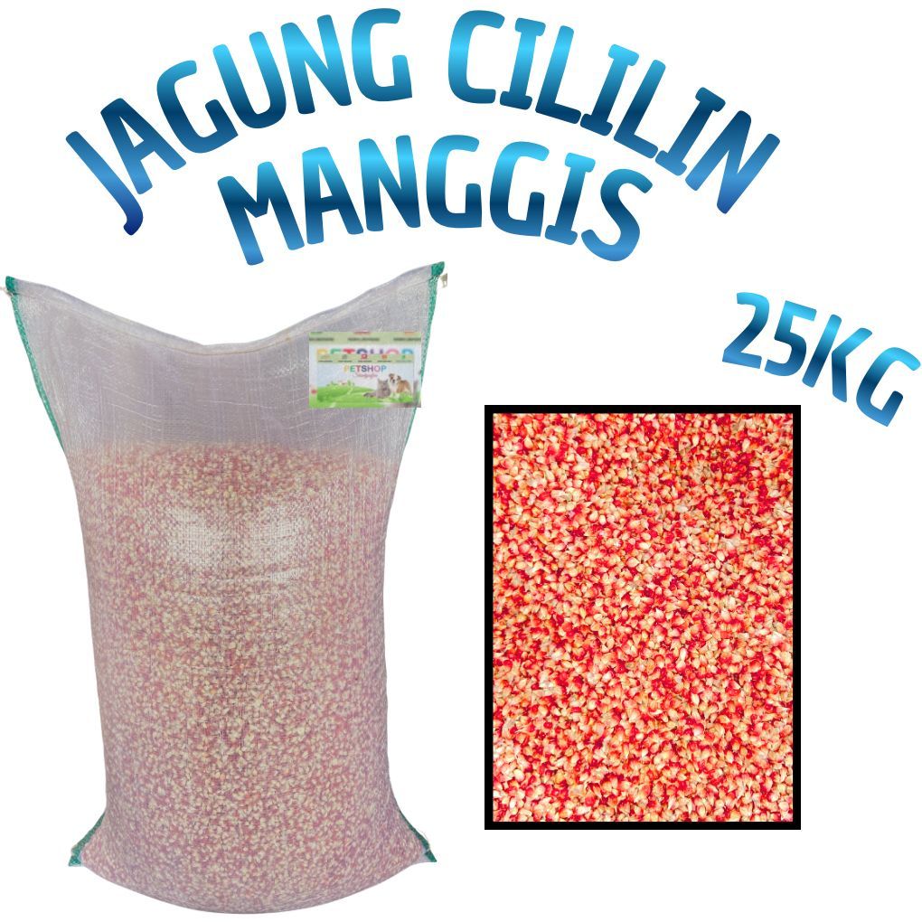 JAGUNG MERPATI JUARA JAGUNG MANGGIS JAGUNG CILILIN MANGGIS JAGUNG KECIL KRISTAL TANPA CAMPURAN ALAMI