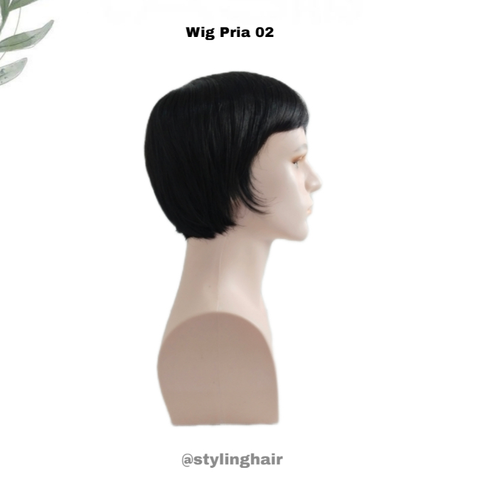 WIG 02/WIG COWO 02/WIG PRIA HITAM/WIG HITAM LURUS