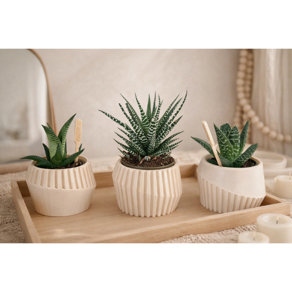 PENDENZA - Set Dekorasi Meja Estetik - Vas Bunga Aesthetic - pot minimalis - Vas bunga - vas hiasan 